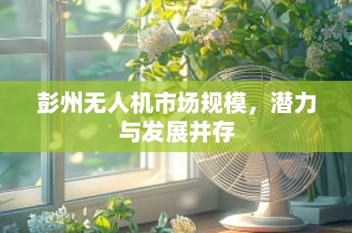 彭州无人机市场规模，潜力与发展并存