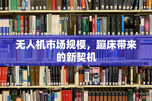 无人机市场规模，蹦床带来的新契机