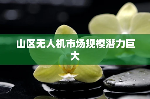 山区无人机市场规模潜力巨大