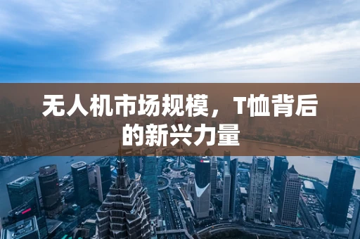 无人机市场规模，T恤背后的新兴力量