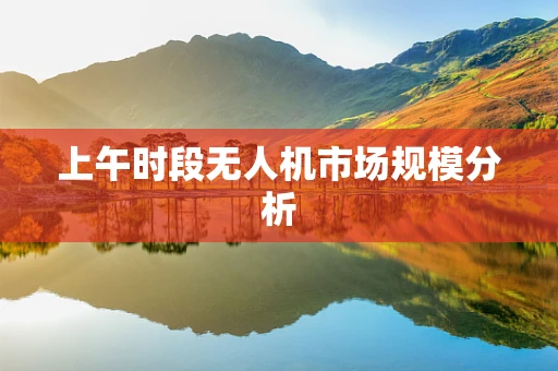 上午时段无人机市场规模分析