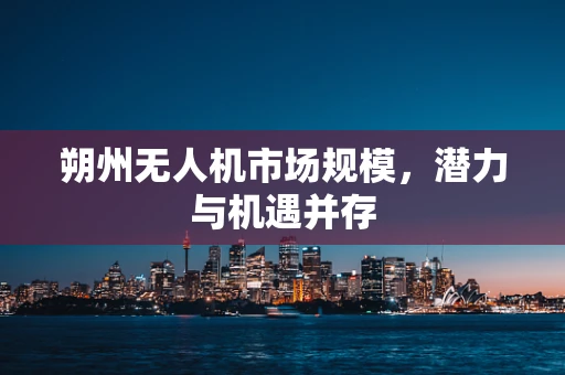 朔州无人机市场规模，潜力与机遇并存