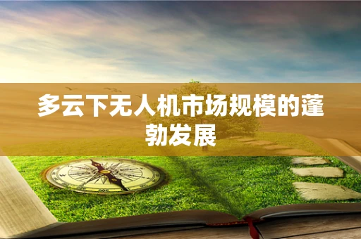 多云下无人机市场规模的蓬勃发展