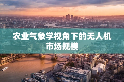 农业气象学视角下的无人机市场规模