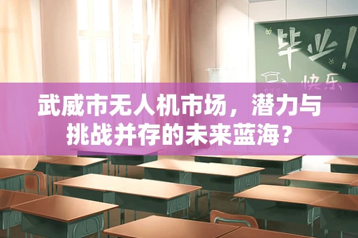 武威市无人机市场，潜力与挑战并存的未来蓝海？