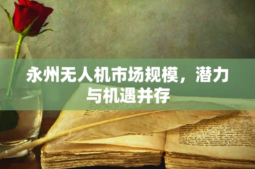 永州无人机市场规模，潜力与机遇并存
