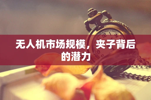 无人机市场规模，夹子背后的潜力