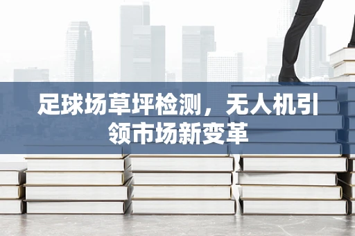 足球场草坪检测，无人机引领市场新变革