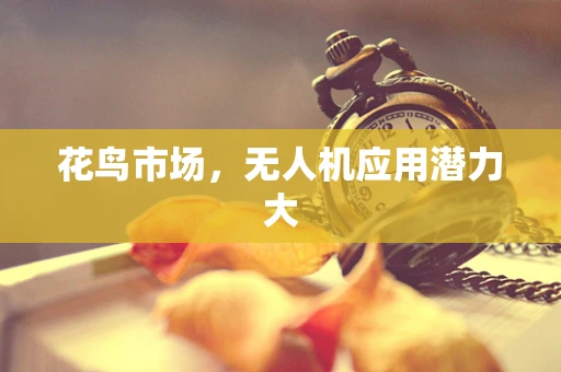 花鸟市场，无人机应用潜力大