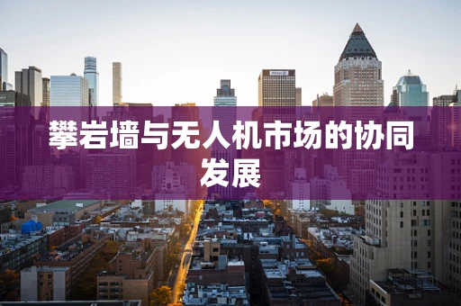 攀岩墙与无人机市场的协同发展