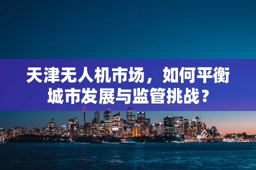 天津无人机市场，如何平衡城市发展与监管挑战？
