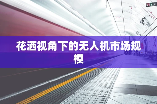 花洒视角下的无人机市场规模