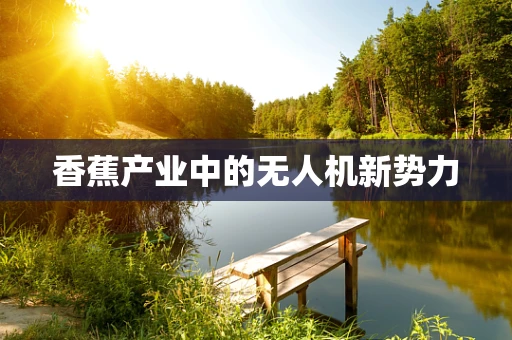 香蕉产业中的无人机新势力