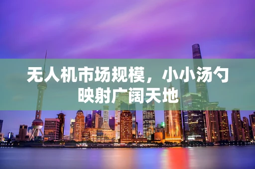 无人机市场规模，小小汤勺映射广阔天地