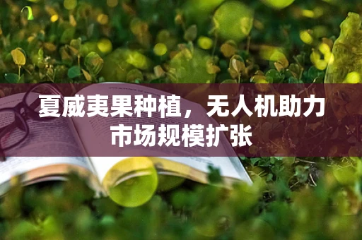 夏威夷果种植，无人机助力市场规模扩张