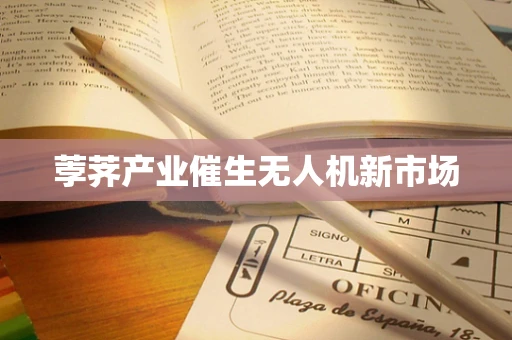 荸荠产业催生无人机新市场