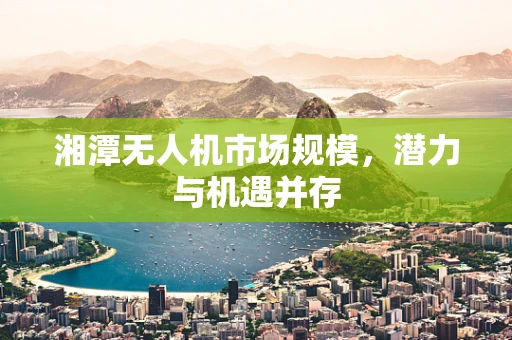 湘潭无人机市场规模，潜力与机遇并存