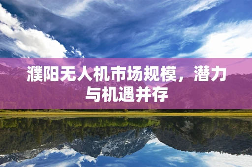 濮阳无人机市场规模，潜力与机遇并存