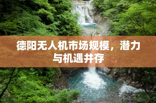 德阳无人机市场规模，潜力与机遇并存