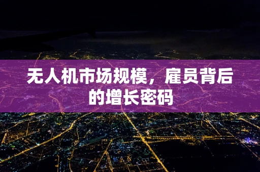 无人机市场规模，雇员背后的增长密码