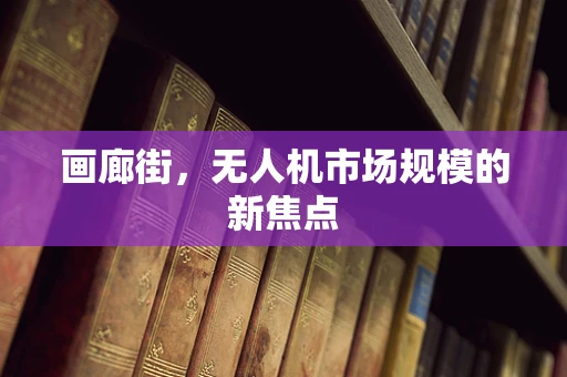 画廊街，无人机市场规模的新焦点