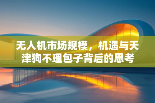 无人机市场规模，机遇与天津狗不理包子背后的思考