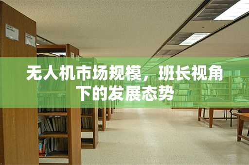 无人机市场规模，班长视角下的发展态势