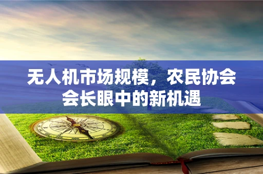无人机市场规模，农民协会会长眼中的新机遇