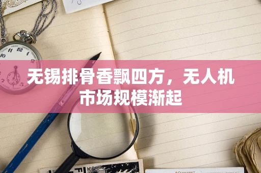 无锡排骨香飘四方，无人机市场规模渐起