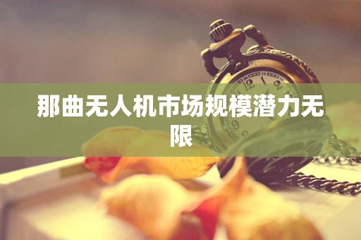 那曲无人机市场规模潜力无限