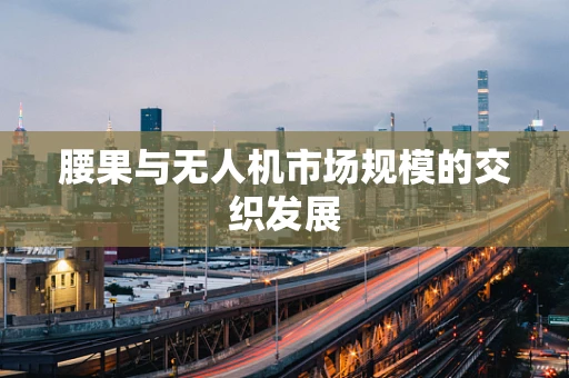 腰果与无人机市场规模的交织发展