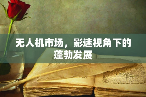 无人机市场，影迷视角下的蓬勃发展
