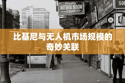 比基尼与无人机市场规模的奇妙关联