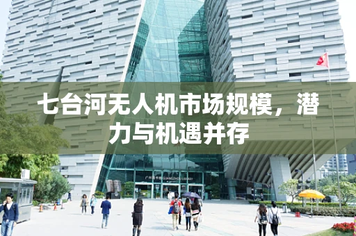 七台河无人机市场规模，潜力与机遇并存