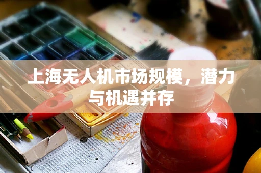 上海无人机市场规模，潜力与机遇并存