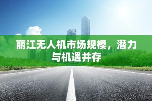 丽江无人机市场规模，潜力与机遇并存