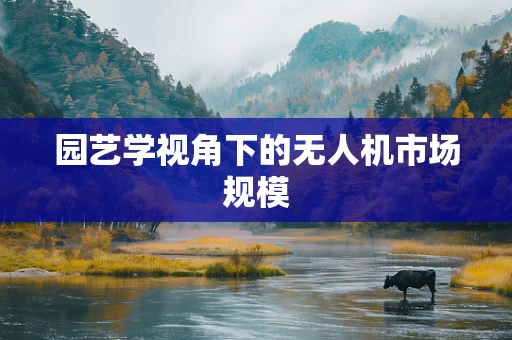 园艺学视角下的无人机市场规模