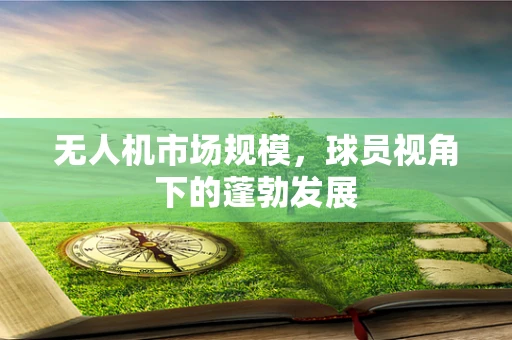 无人机市场规模，球员视角下的蓬勃发展