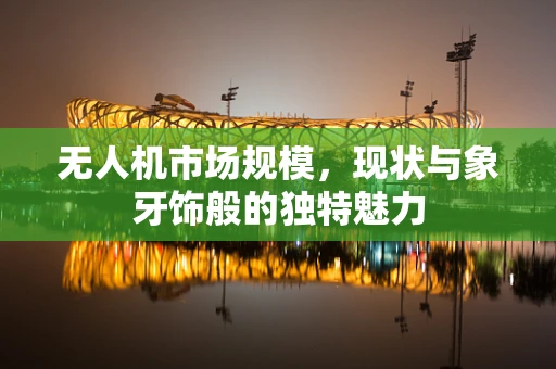 无人机市场规模，现状与象牙饰般的独特魅力