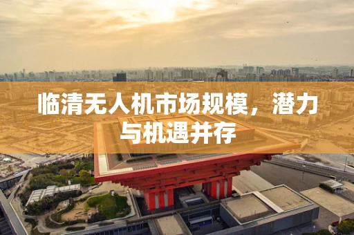 临清无人机市场规模，潜力与机遇并存