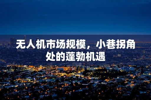 无人机市场规模，小巷拐角处的蓬勃机遇