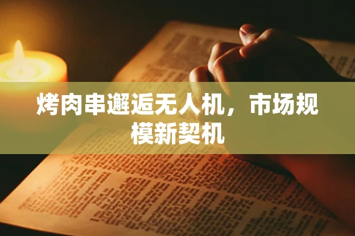 烤肉串邂逅无人机，市场规模新契机