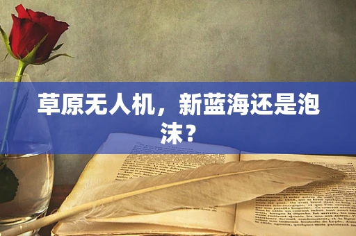 草原无人机，新蓝海还是泡沫？