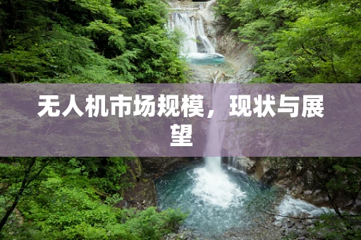 无人机市场规模，现状与展望