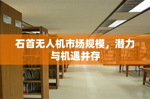 石首无人机市场规模，潜力与机遇并存