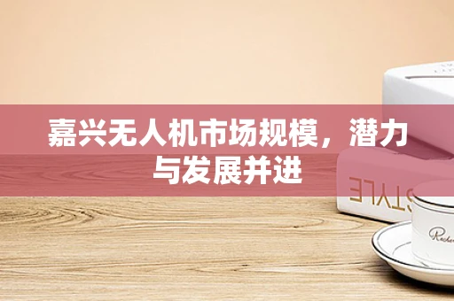 嘉兴无人机市场规模，潜力与发展并进