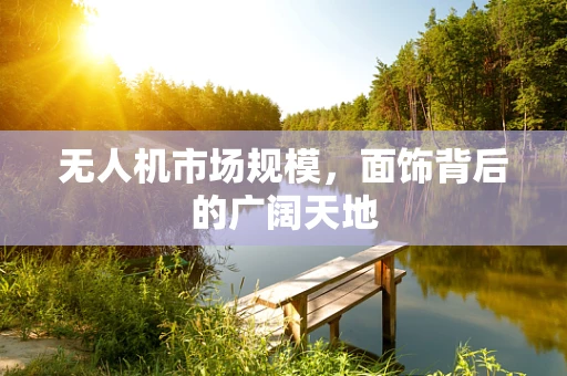 无人机市场规模，面饰背后的广阔天地
