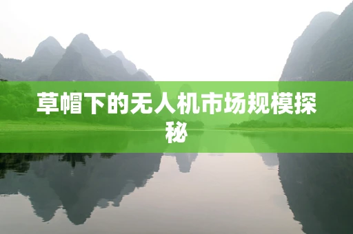 草帽下的无人机市场规模探秘