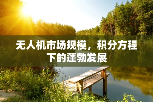 无人机市场规模，积分方程下的蓬勃发展