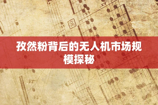 孜然粉背后的无人机市场规模探秘